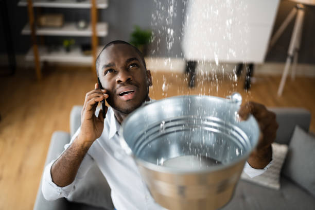 Best Commercial water damage restoration  in Huntertown, IN