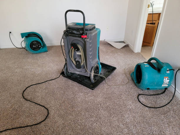 Best Water damage cleanup near me  in Huntertown, IN