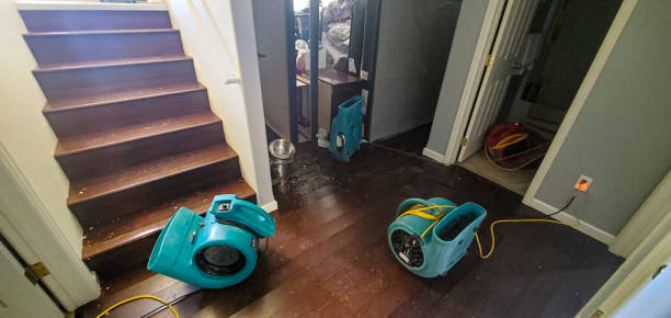 Best Flooded house restoration  in Huntertown, IN