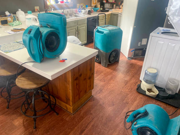 Best Sewage cleanup and water damage restoration  in Huntertown, IN