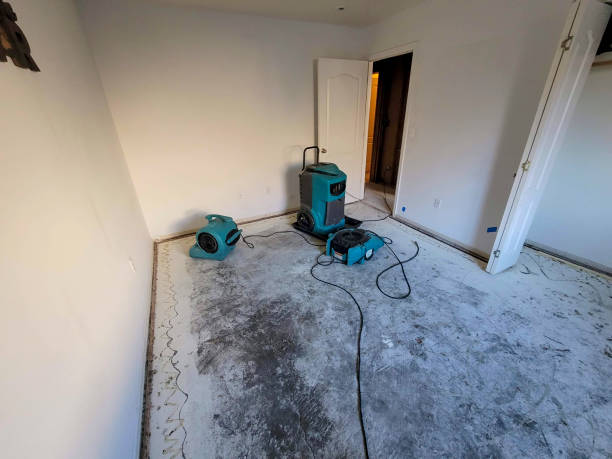 Best Flood restoration services  in Huntertown, IN