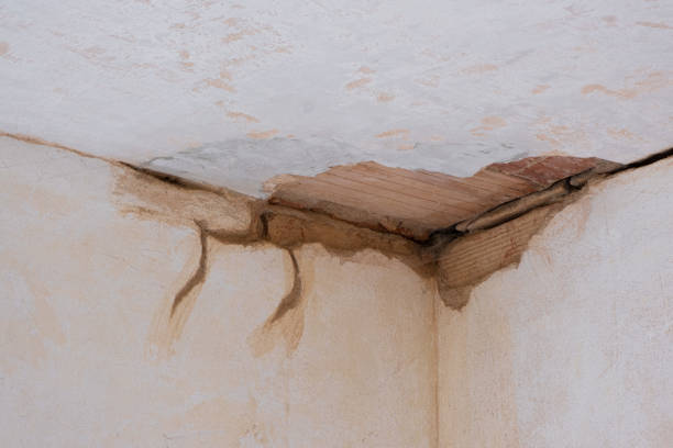 Best Ceiling water damage repair  in Huntertown, IN