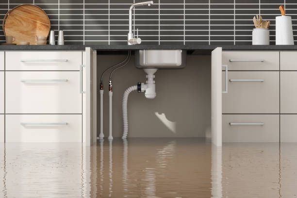 Best Water damage restoration near me  in Huntertown, IN