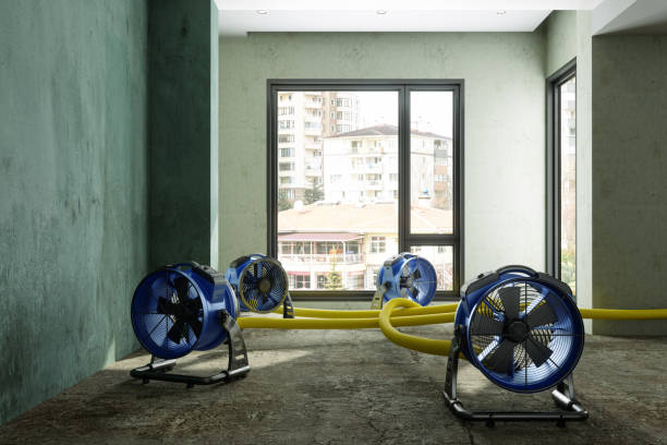 Professional Water damage restoration in IN