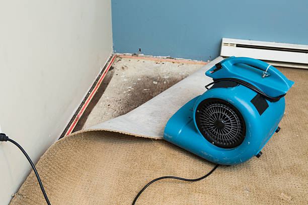 Best Water damage restoration cost  in Huntertown, IN